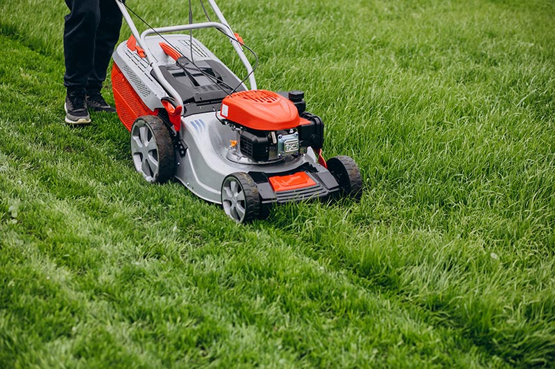 Redding, CA yard maintenance